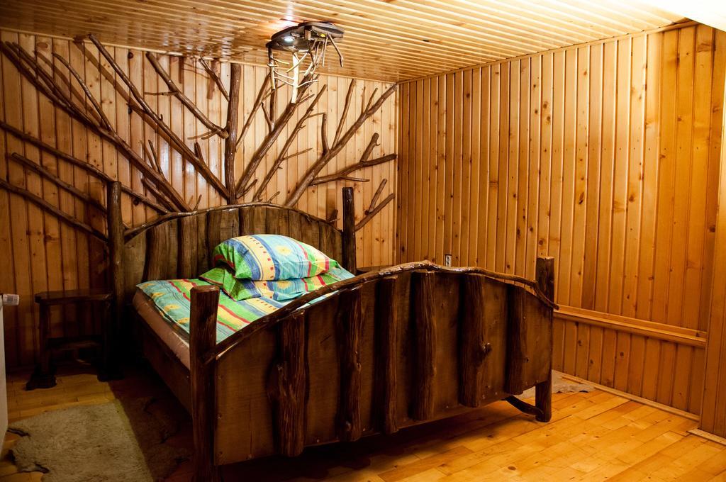 Pensiunea Sarmis Sarmizegetusa Zimmer foto